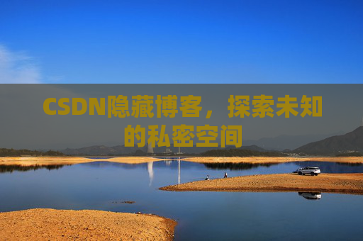 CSDN隐藏博客，探索未知的私密空间